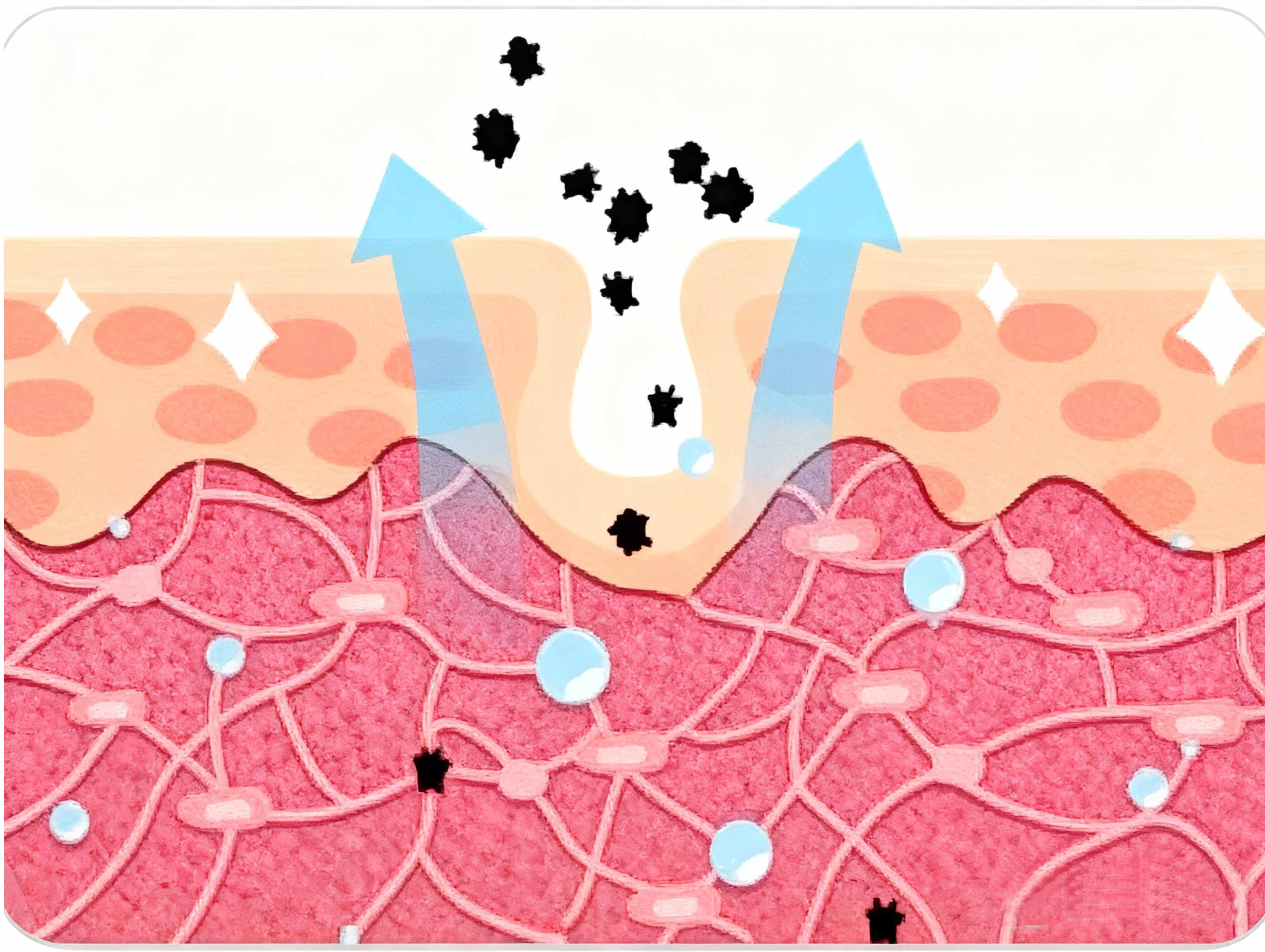 HONY D001 Edición Antioxidante: Antienvejecimiento científico, reconstruye la defensa de la piel
